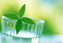 人体是天然“药房” 七成疾病可自愈