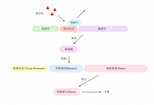 关于转基因种子的五大传闻，你都信了吗？