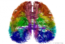 回顾：十大重要的脑科学研究