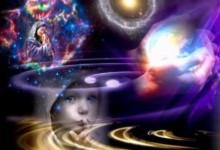 人类只是生命之树的很小一支
