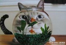 31 个伪科学知识这些年来骗得我好苦