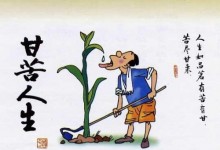 真正的高手炒股只关注这两件事