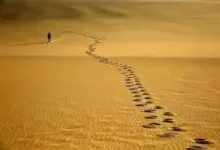 累积性知识 vs. 周期性知识