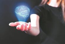 人脑为何如此与众不同