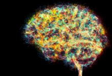 语言≠思维，大模型学不了推理：一篇Nature让AI社区炸锅了