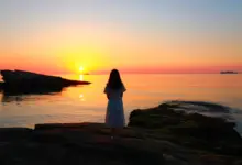 《心流》：成年人最通透的活法，是沉浸式做自己