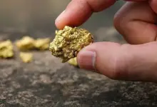 15年经验职业女交易员直言不讳的独白：交易没有秘密！