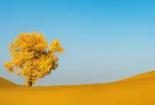 真正决定一个人能走多远的，是心力