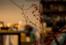一生中最好的年龄，是什么时候？