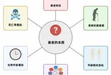 一文读懂衰老