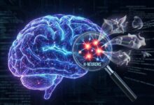 清华大学团队揪出AI幻觉元凶以及Gemini对此的看法